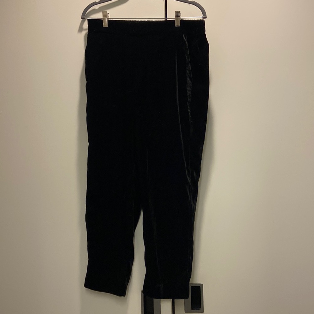 Jcrew factory velvet pants. Elastic waist